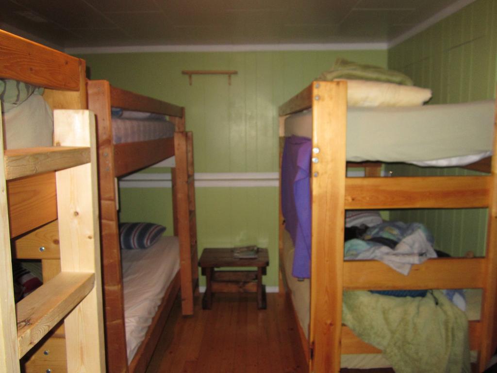 Beez Kneez Bakpakers Hostel Whitehorse Pokój zdjęcie