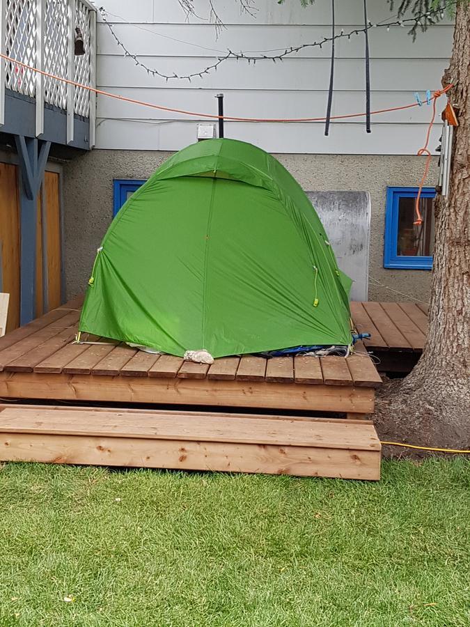 Beez Kneez Bakpakers Hostel Whitehorse Zewnętrze zdjęcie